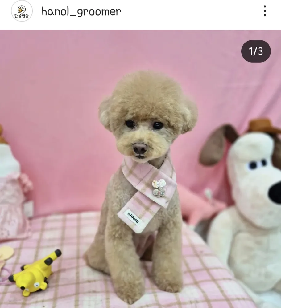 한올한올 대표 이미지