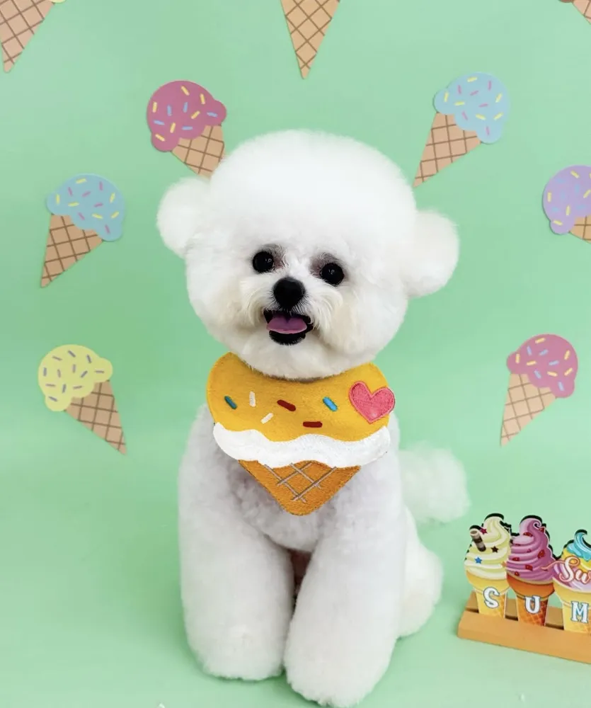 하이블리 대표 이미지