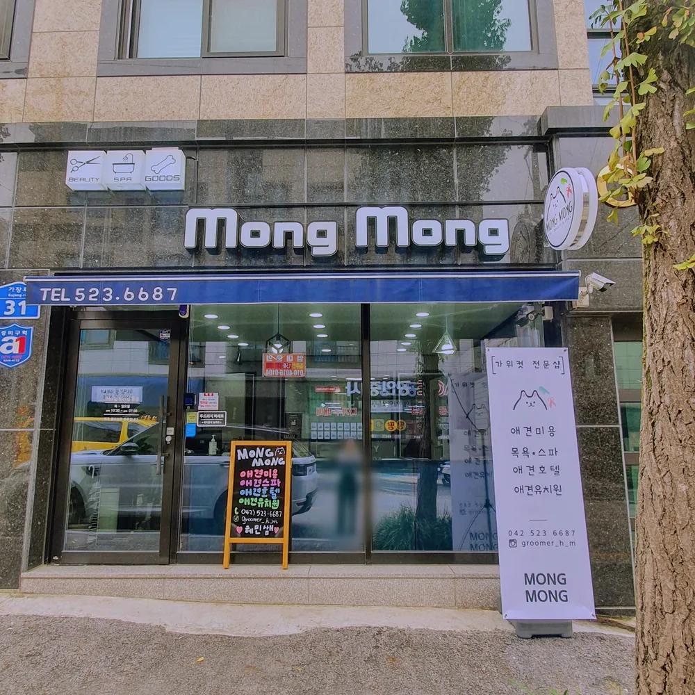 몽몽 대표 이미지