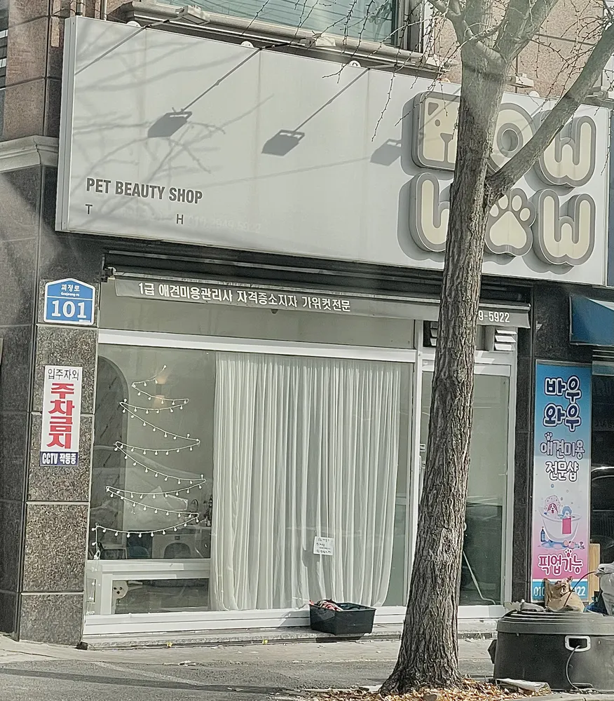 바우와우애견샵 대표 이미지