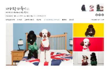 나비랑바둑이 대표 이미지