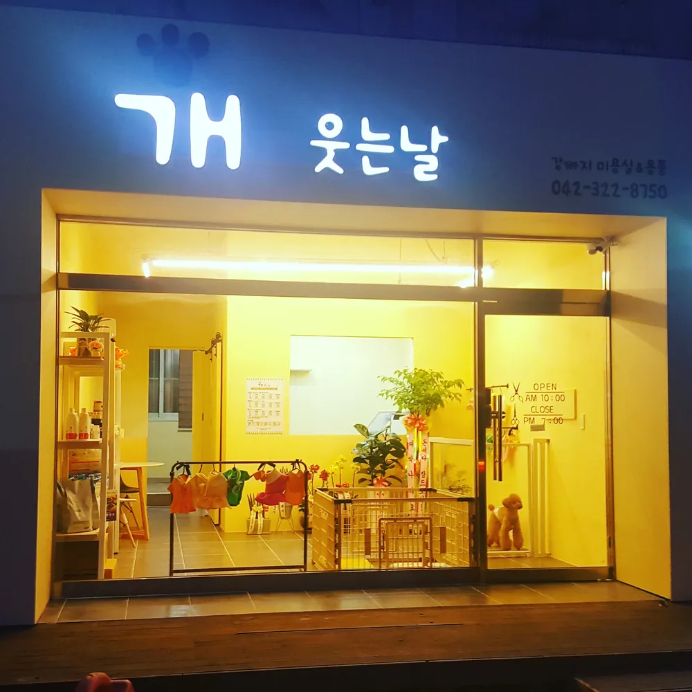 개웃는날 대표 이미지