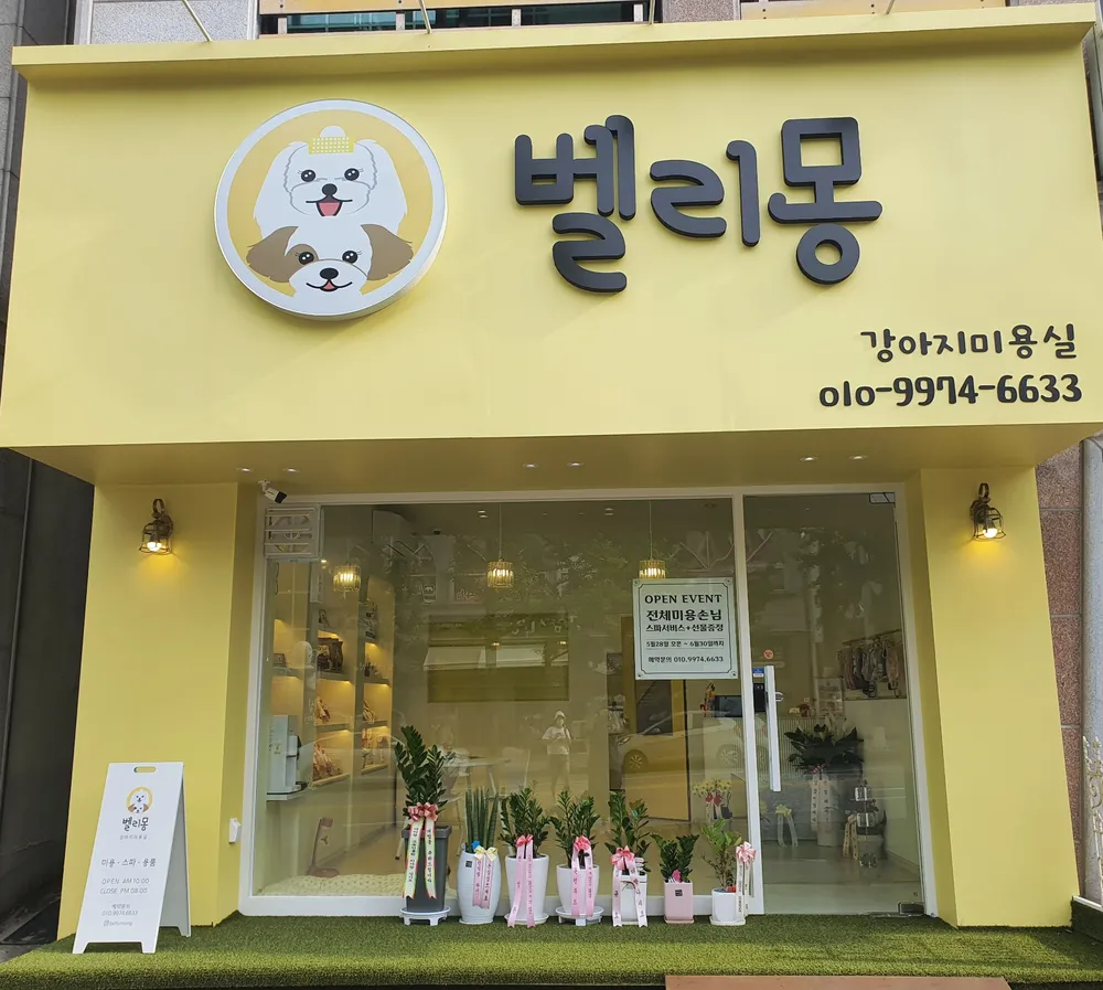 벨리몽 대표 이미지