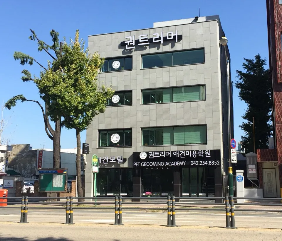 권트리머 애견모델미용실 대표 이미지