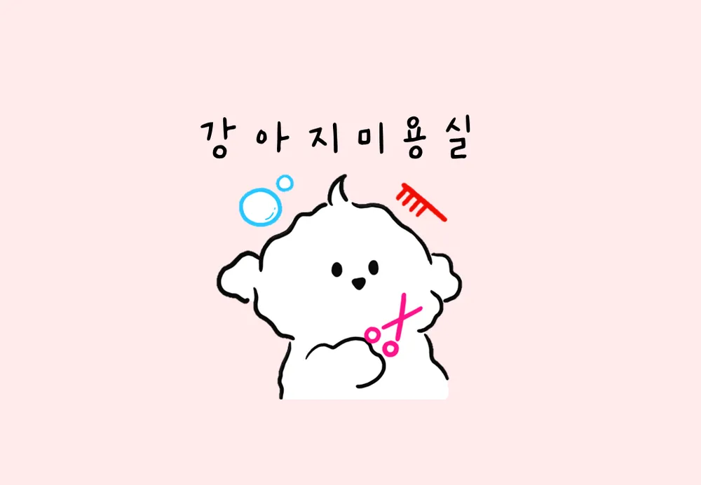 강아지 미용실 대표 이미지