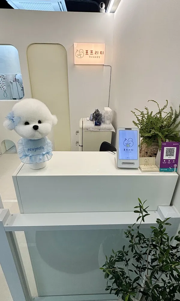 포프리티 대표 이미지