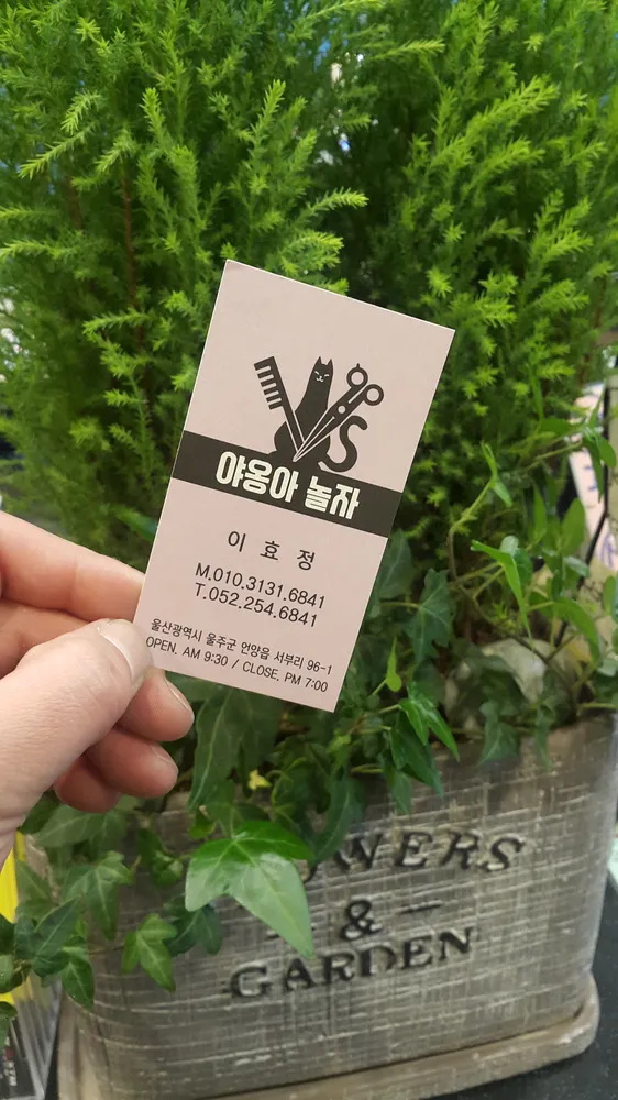 야옹아놀자 대표 이미지
