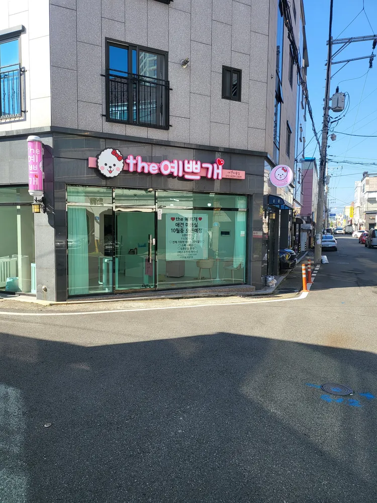 the예쁘개 대표 이미지