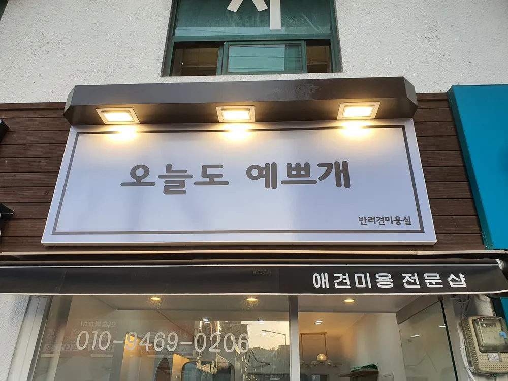 오늘도예쁘개 대표 이미지
