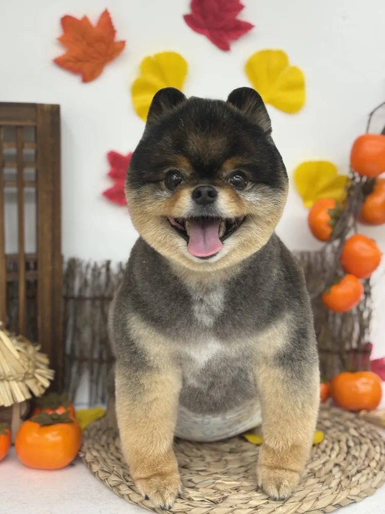 라이크잇 대표 이미지