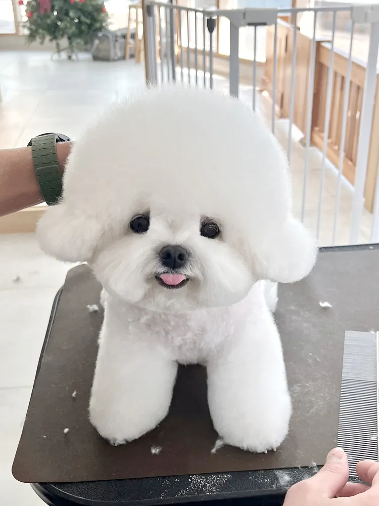 에브리뽀송 대표 이미지