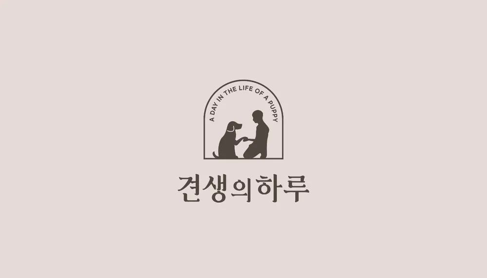 견생의하루 펫살롱 일산본점 대표 이미지