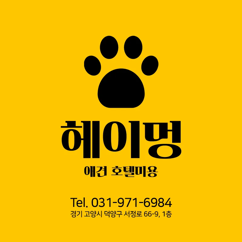 헤이멍애견호텔미용 대표 이미지
