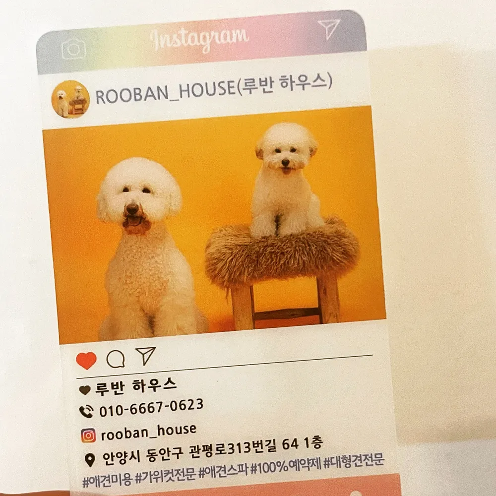 루반하우스 대표 이미지