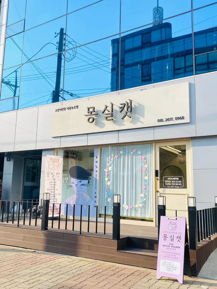 몽실캣 대표 이미지