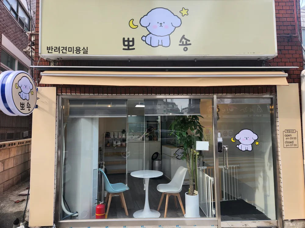 뽀숑 대표 이미지