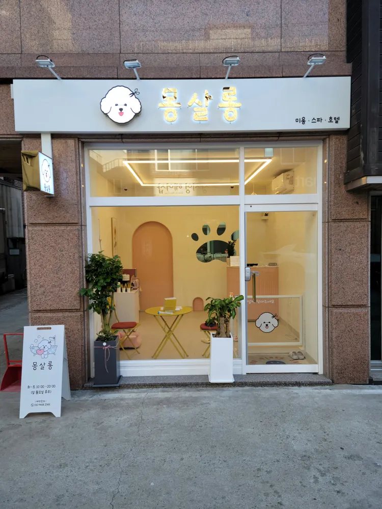 몽살롱 대표 이미지