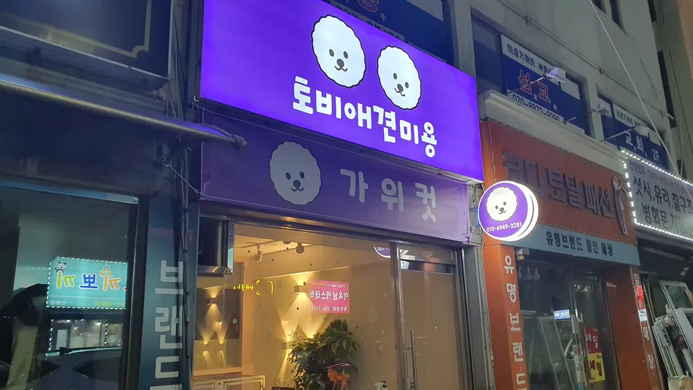 토비애견미용 대표 이미지