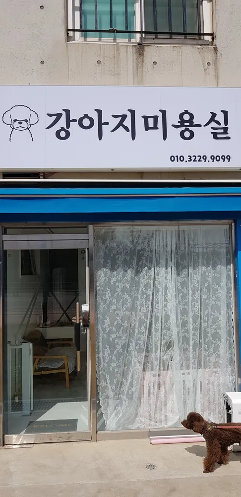 강아지미용실 대표 이미지