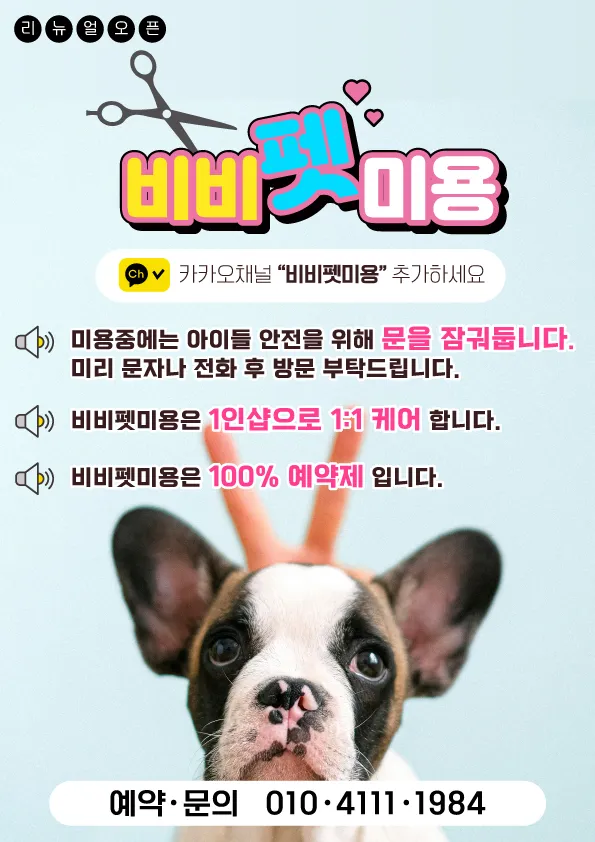 비비펫미용 대표 이미지