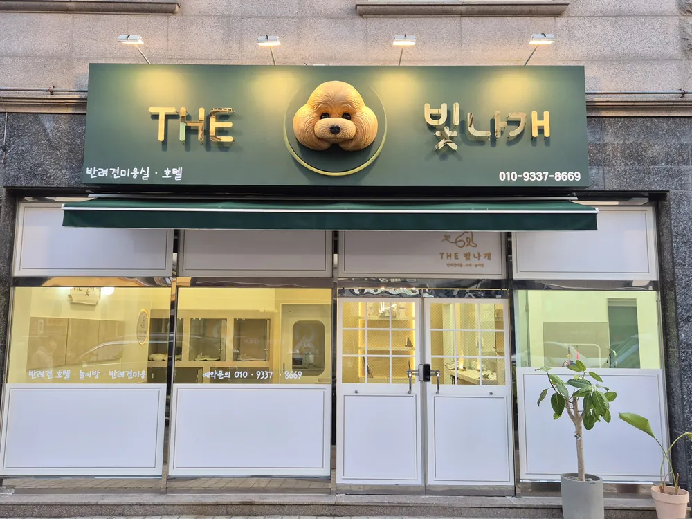 THE빛나개 대표 이미지