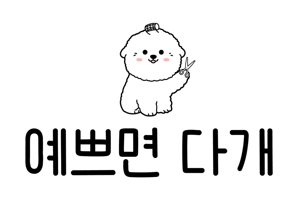 예쁘면 다개 대표 이미지