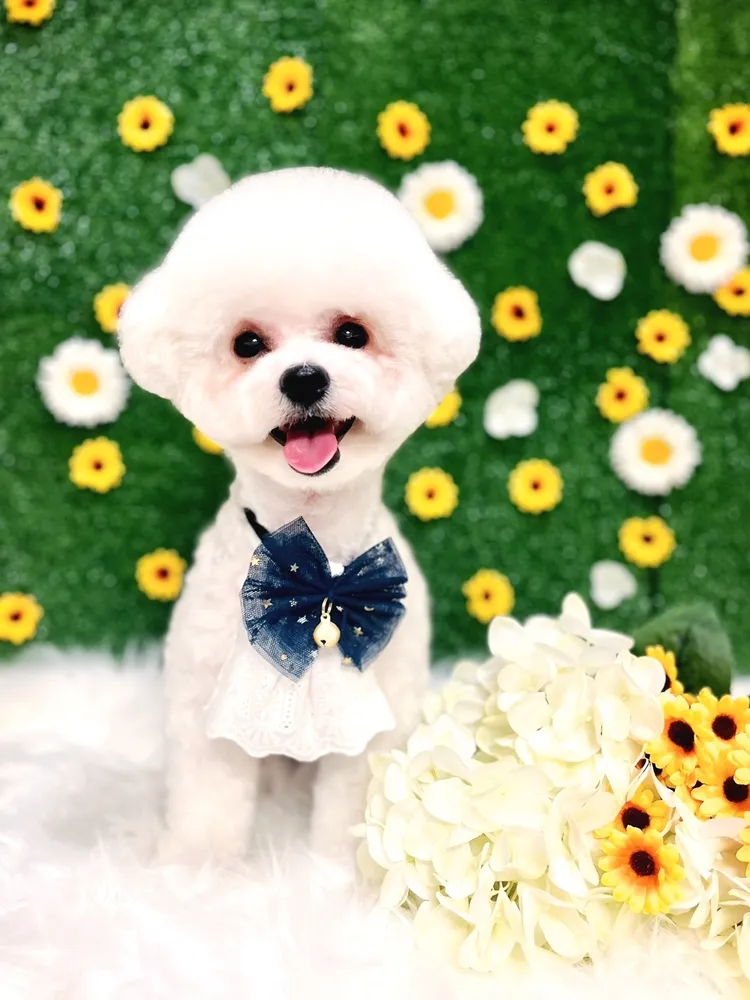 38점5도씨 대표 이미지