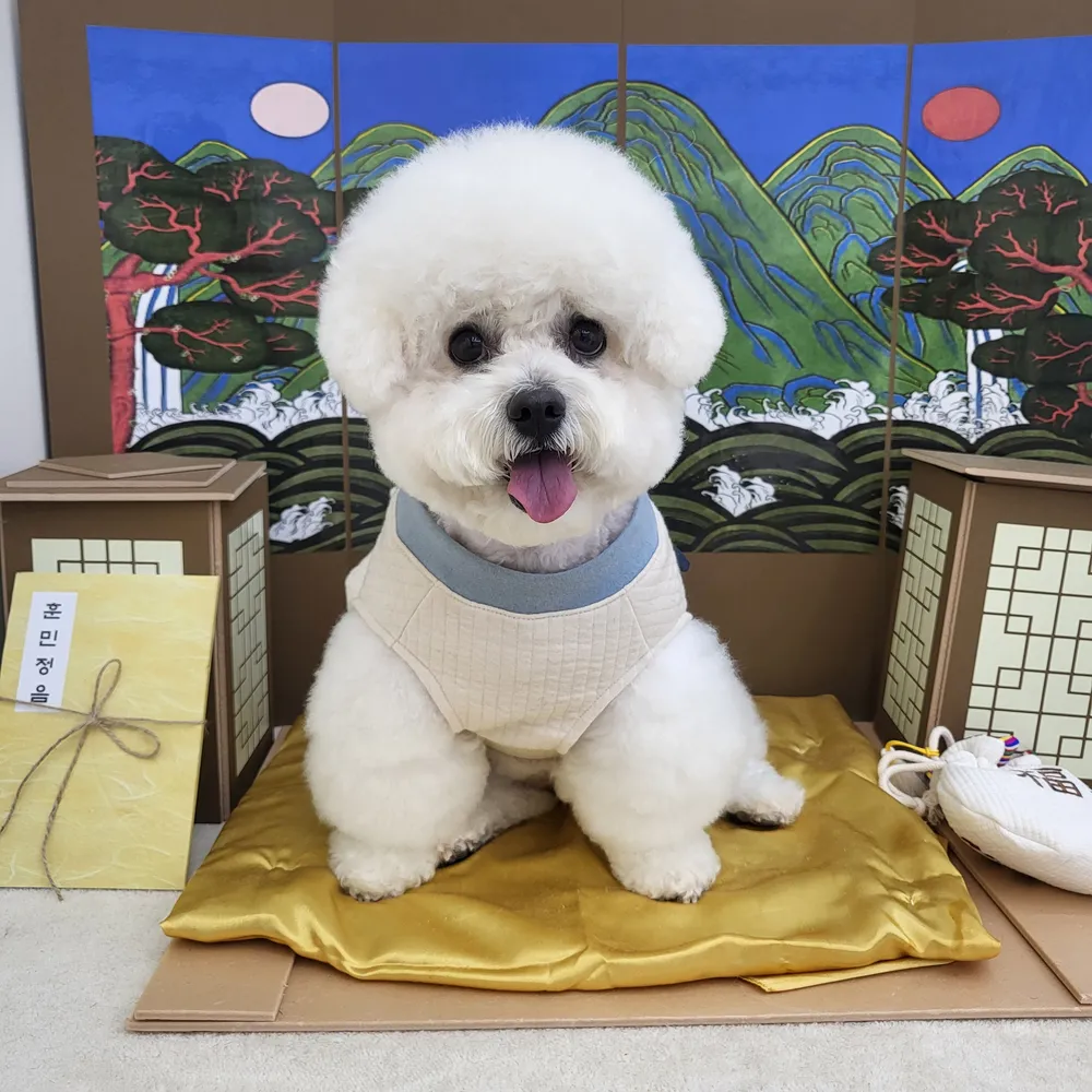 댕그리 대표 이미지