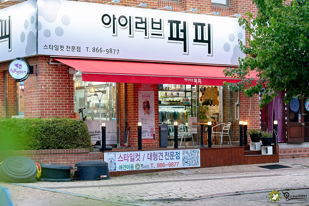 아이러브퍼피 대표 이미지