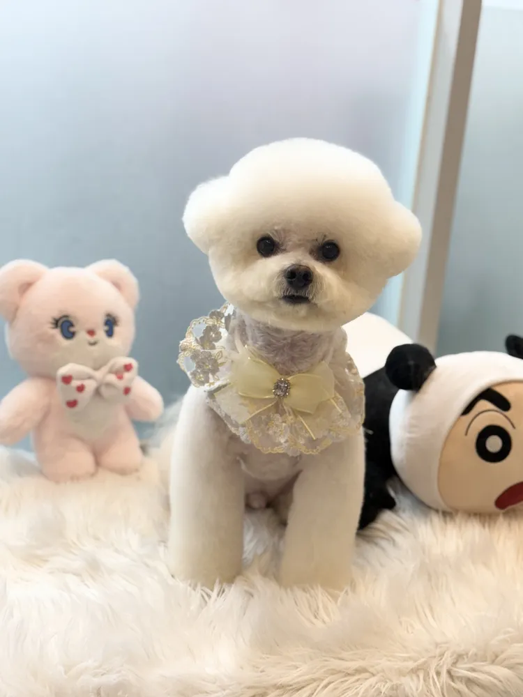 몽하트 대표 이미지