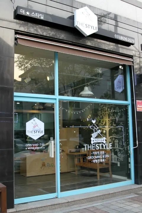 더스타일 대표 이미지