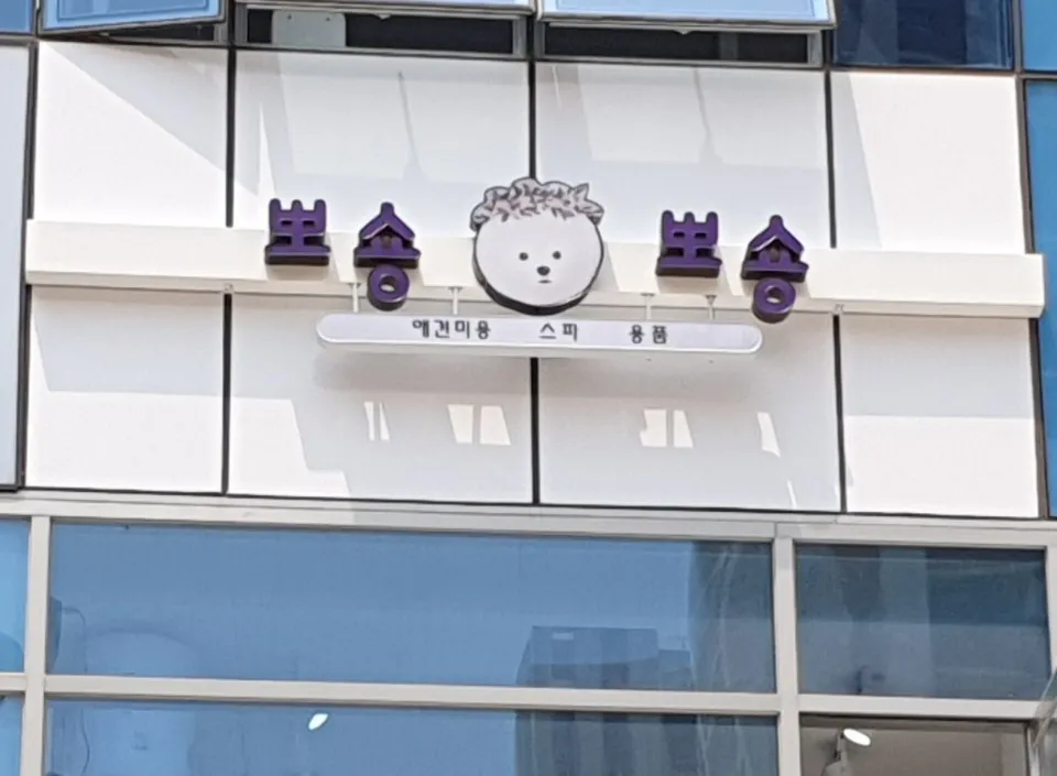 뽀숑뽀숑 대표 이미지