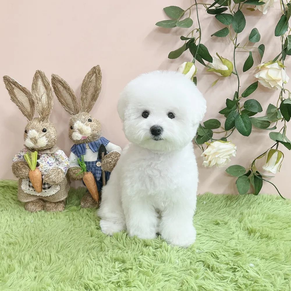 모란모란 대표 이미지