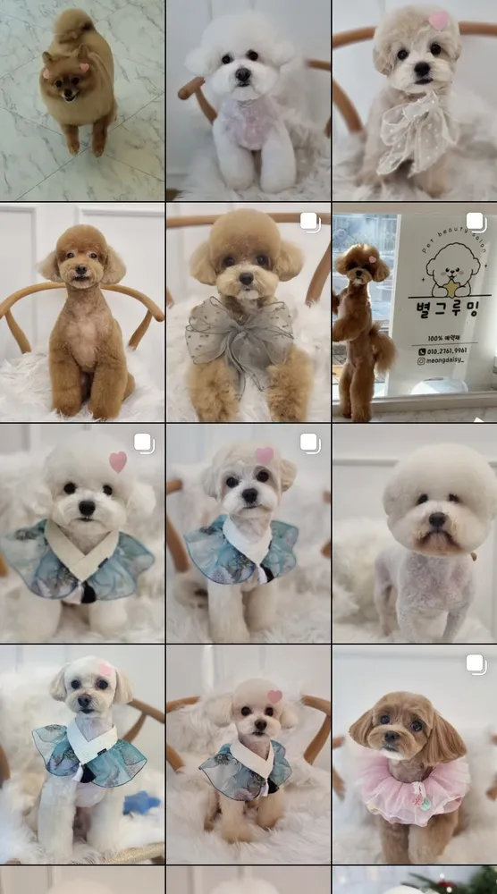 별그루밍 대표 이미지