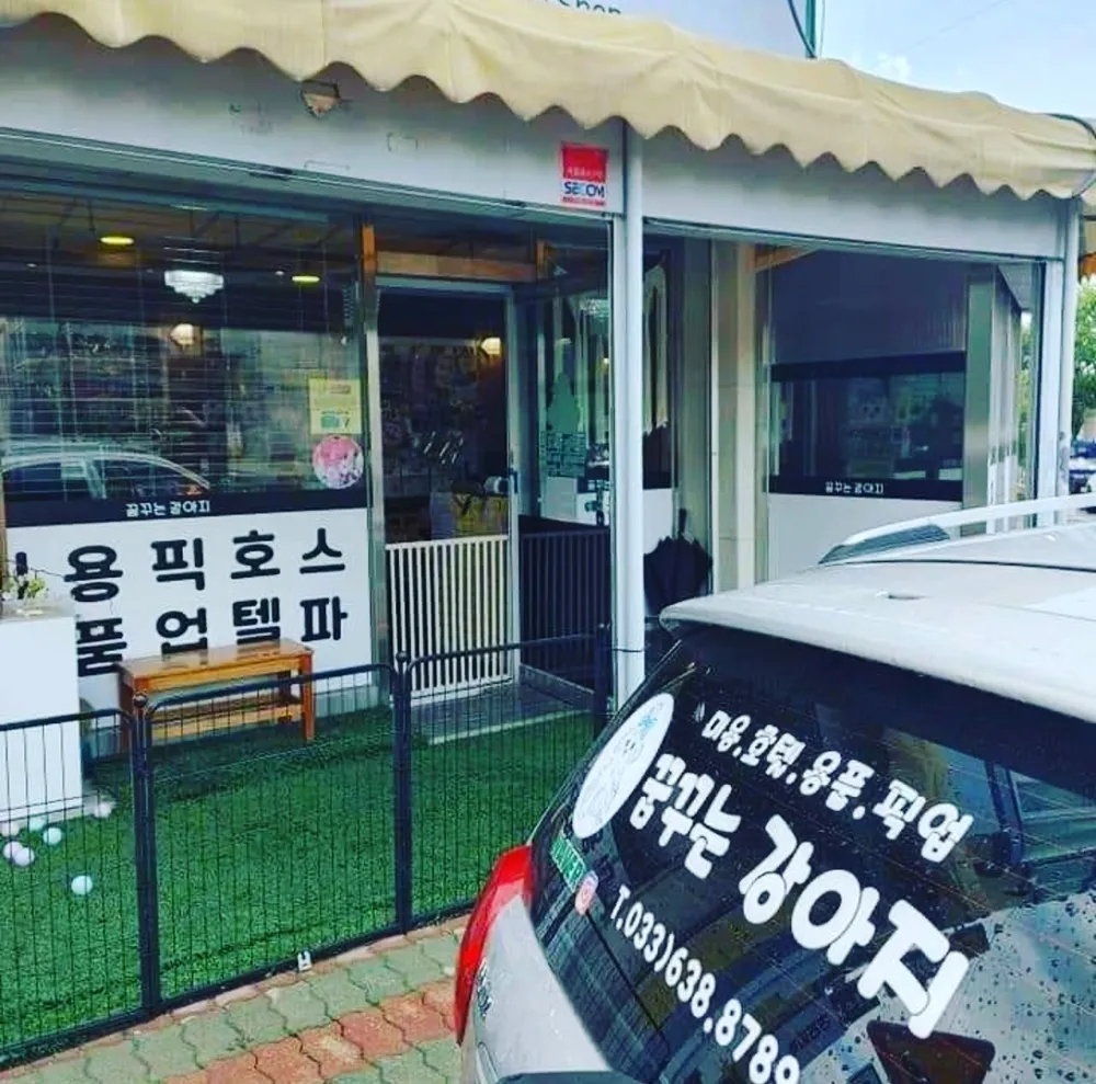 꿈꾸는강아지 대표 이미지