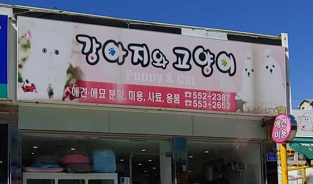 강아지와고양이 태백점 대표 이미지
