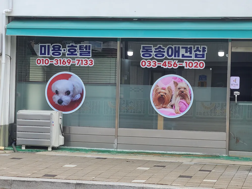 동송애견샵 대표 이미지