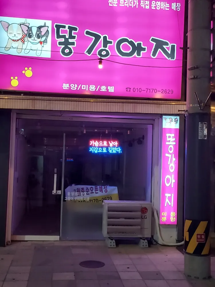 똥강아지 대표 이미지
