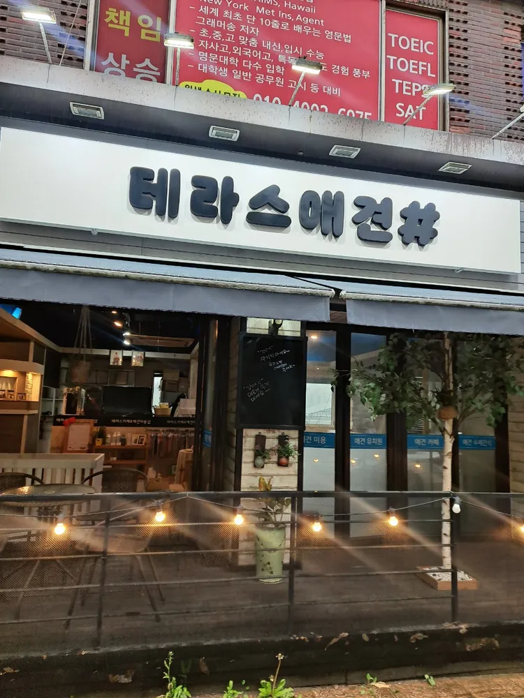테라스애견미용실 대표 이미지