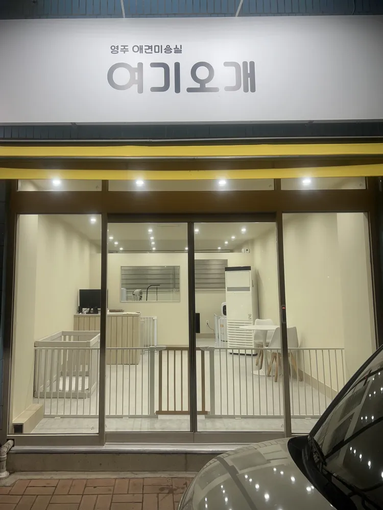 영주애견미용실 여기오개 대표 이미지