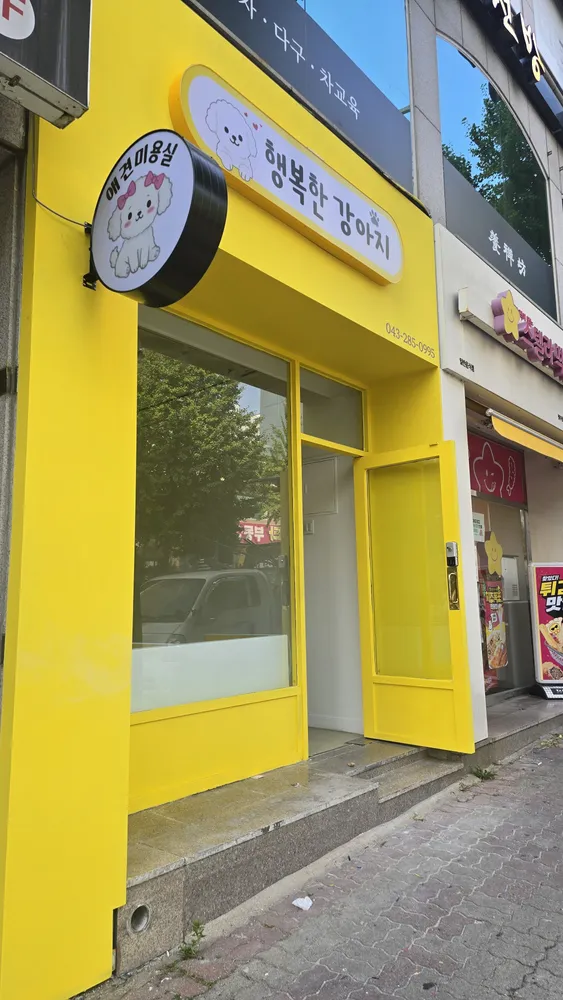 행복한강아지 대표 이미지