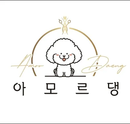 아모르 댕 대표 이미지