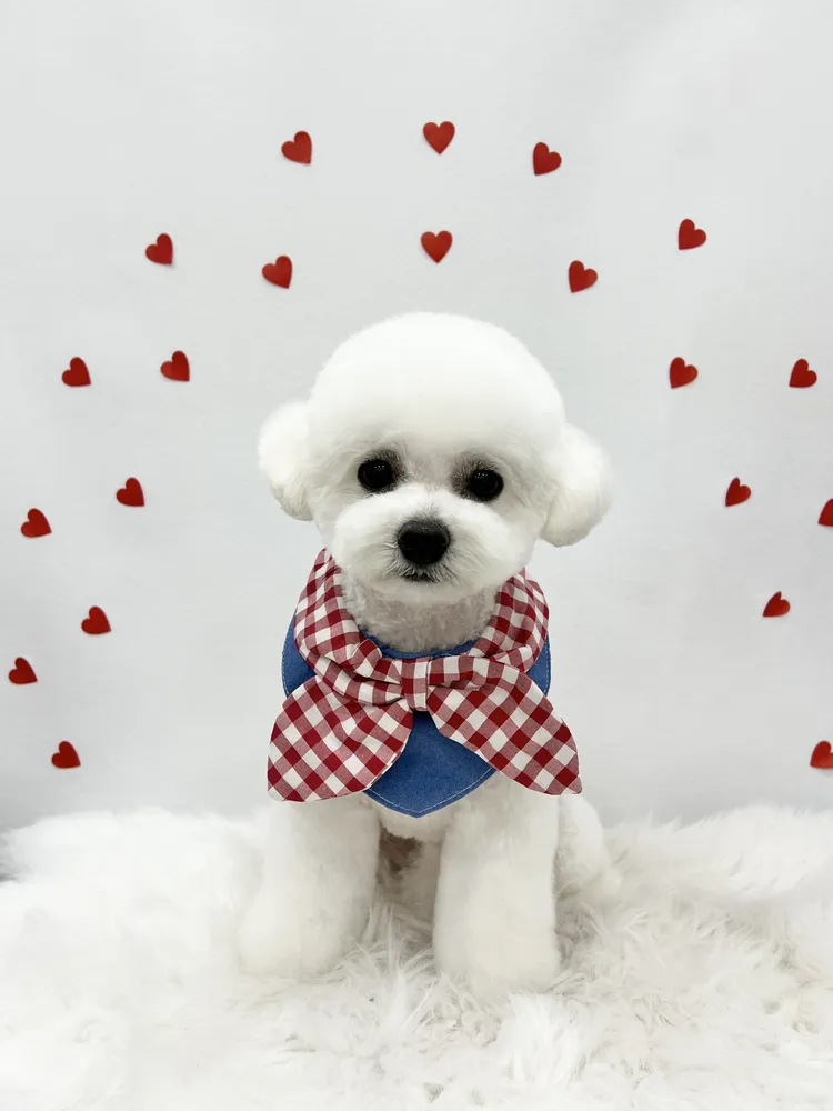 룰루멍 대표 이미지