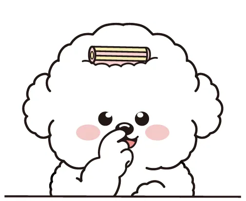 코꾸멍 대표 이미지