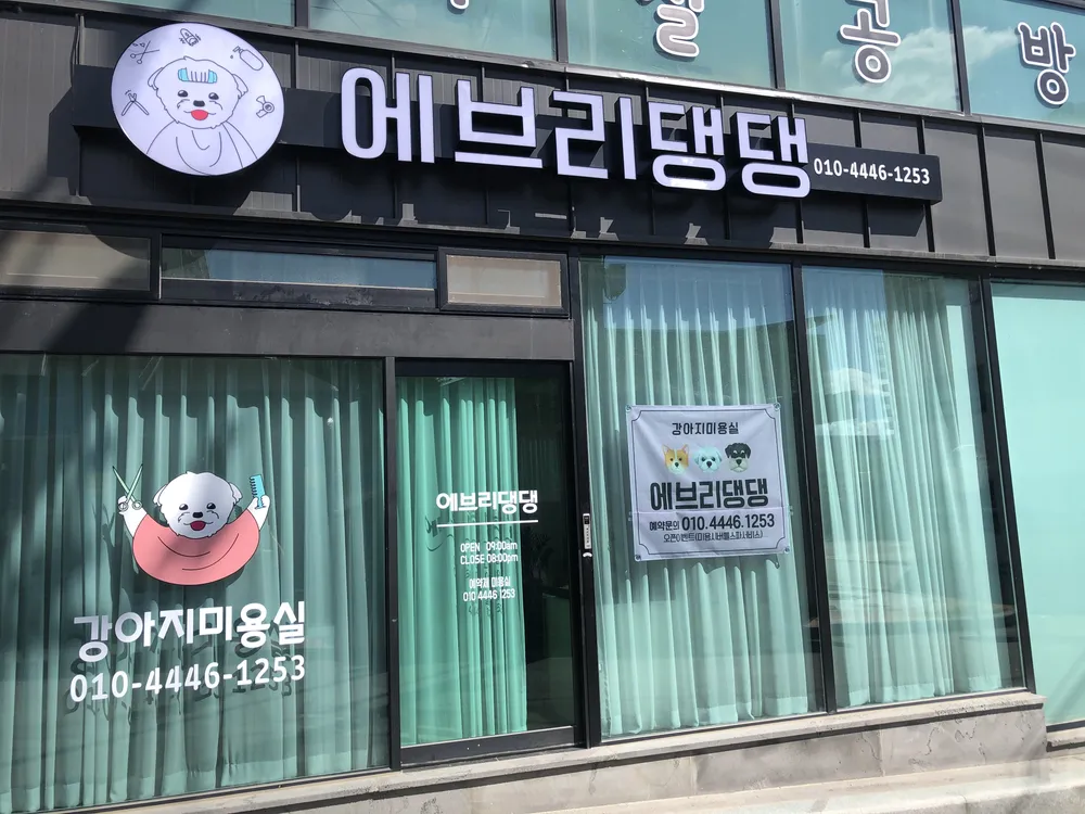 에브리댕댕 대표 이미지