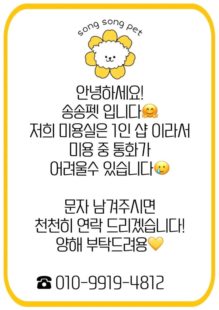 송송펫 대표 이미지