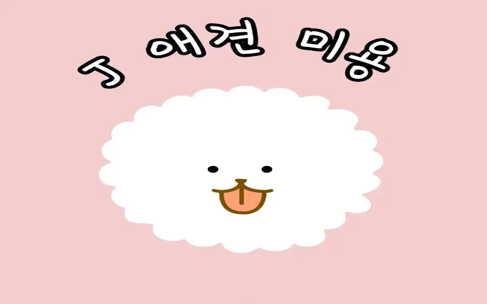 J애견미용 대표 이미지