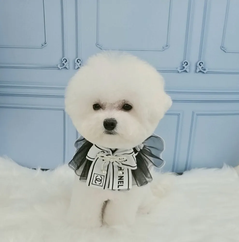 데일리 케어 대표 이미지
