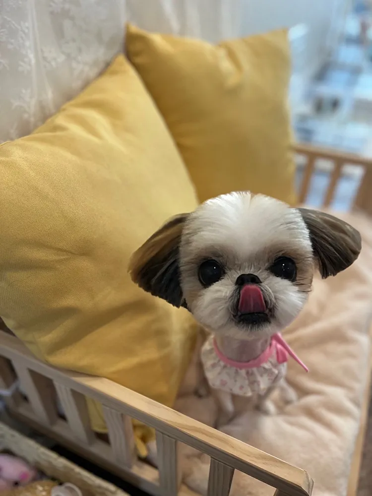 베베몽몽 대표 이미지