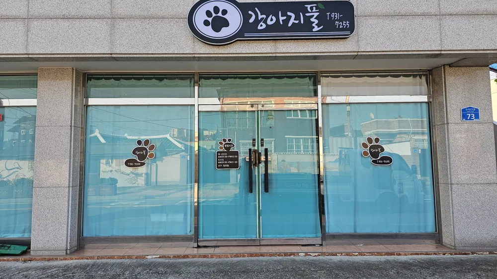 강아지풀 대표 이미지
